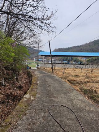 지식농부님의 작성글 사진