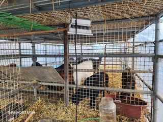 상추6475님의 자유주제 · 자유게시판 작성글 사진