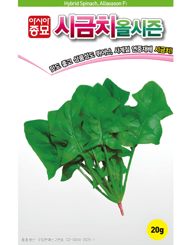 농업마켓365님의 장터 판매 상품 [농업마켓365 아시아종묘 시금치 20g 500g 올시즌시금치 씨앗 종자 종묘 ] 첨부 사진