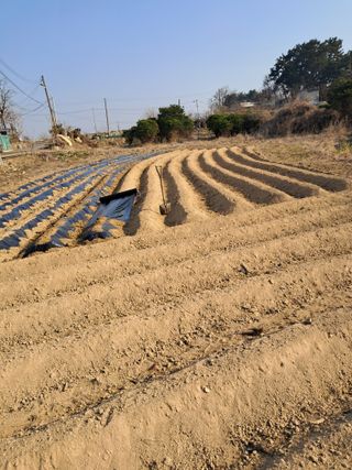 김완섭님의 일손 구하셨나요? · 참여글 작성글 사진