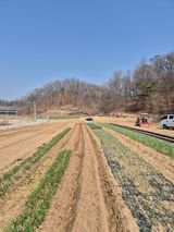 팜모닝 일손 구하셨나요?·참여글 게시글 이미지