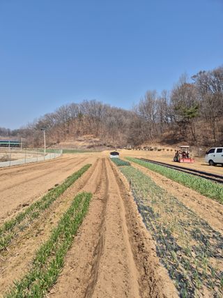 박수웅 님의 일손 구하셨나요? · 참여글 작성글 사진