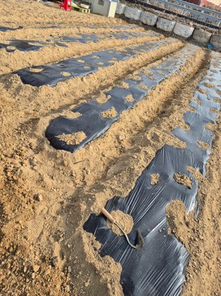 참깨10143님의 일손 구하셨나요? · 참여글 작성글 사진