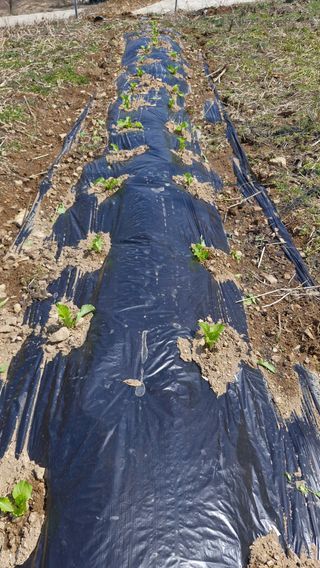 정석구님의 자유주제 · 자유게시판 작성글 사진