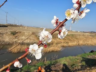 이미옥님의 일손 구하셨나요? · 참여글 작성글 사진