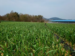 도시 농부님의 일손 구하셨나요? · 참여글 작성글 사진