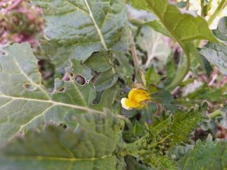 레인보우가든님의 자유주제 · 자유게시판 작성글 사진