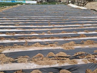 김완섭님의 일손 구하셨나요? · 참여글 작성글 사진