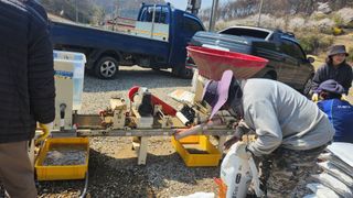 김종향님의 자유주제 · 자유게시판 작성글 사진