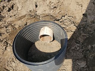 이미옥님의 일손 구하셨나요? · 참여글 작성글 사진