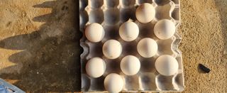 김민철 님의 작성글 사진