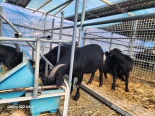 상추6475님의 자유주제 · 자유게시판 작성글 사진