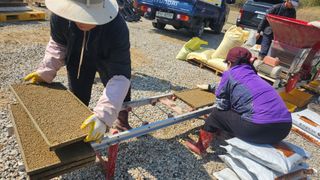 김종향님의 자유주제 · 자유게시판 작성글 사진