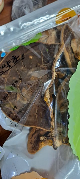 백순분님의 작성글 사진