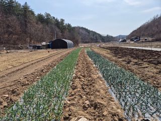 박수웅 님의 일손 구하셨나요? · 참여글 작성글 사진