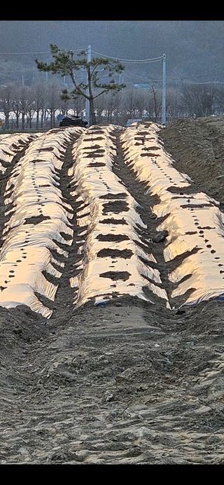 힐스님의 일손 구하셨나요? · 참여글 작성글 사진