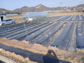 백영호님의 일손 구하셨나요? · 참여글 작성글 사진