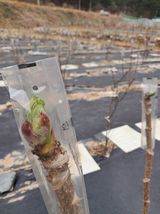 팜모닝 일손 구하셨나요?·참여글 게시글 이미지