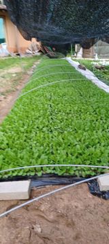 팜모닝 일손 구하셨나요?·참여글 게시글 이미지