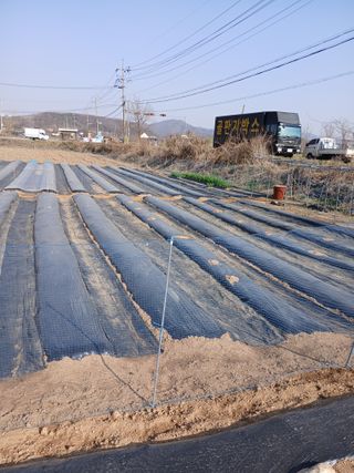 백영호님의 일손 구하셨나요? · 참여글 작성글 사진