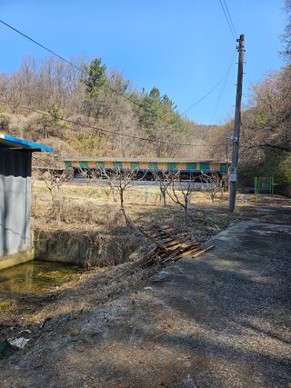 지식농부님의 작성글 사진