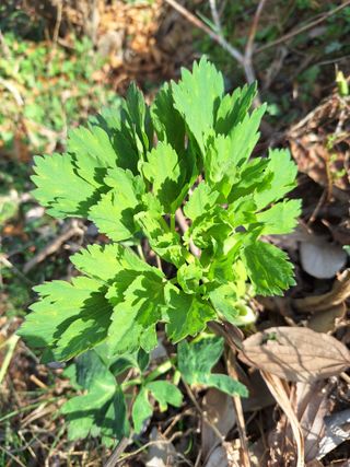 레인보우가든님의 자유주제 · 자유게시판 작성글 사진