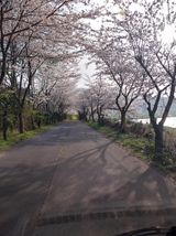 팜모닝 자유주제·자유게시판 게시글 이미지