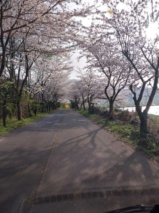 순덕님의 자유주제 · 자유게시판 작성글 사진