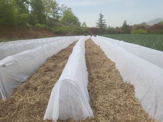 도시 농부님의 일손 구하셨나요? · 참여글 작성글 사진