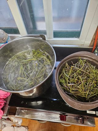 제주 지안이네농장님의 자유주제 · 자유게시판 작성글 사진