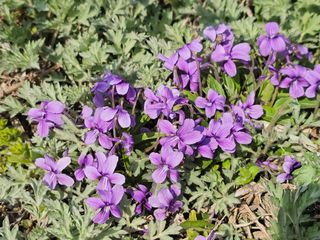 이미옥님의 일손 구하셨나요? · 참여글 작성글 사진