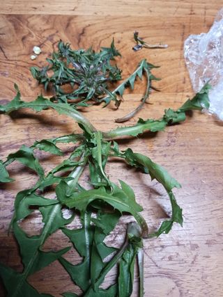 반영숙님의 자유주제 · 자유게시판 작성글 사진