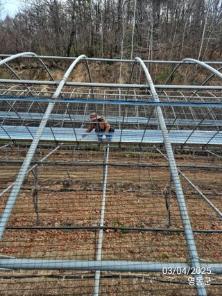 젠틀맨님의 자유주제 · 자유게시판 작성글 사진