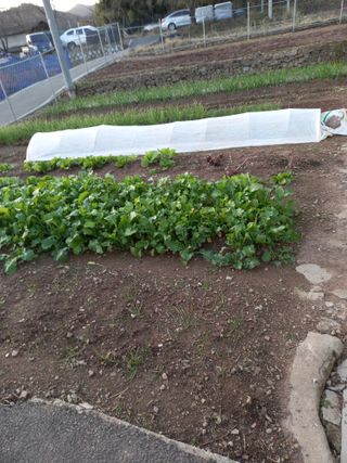 전진욱님의 일손 구하셨나요? · 참여글 작성글 사진