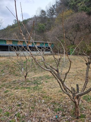 지식농부님의 작성글 사진