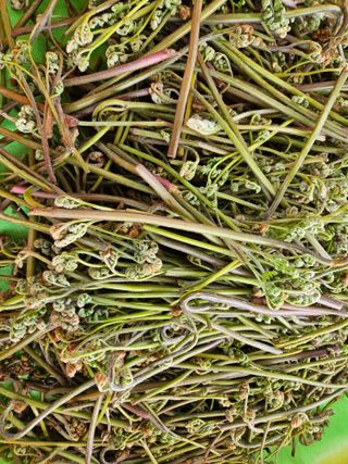 경희아짐님의 자유주제 · 자유게시판 작성글 사진