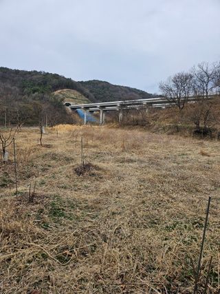 지식농부님의 작성글 사진