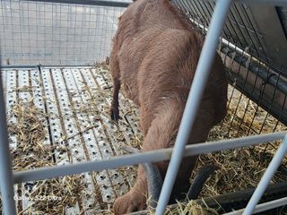 상추6475님의 자유주제 · 자유게시판 작성글 사진