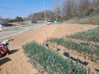 솜리아재님의 일손 구하셨나요? · 참여글 작성글 사진