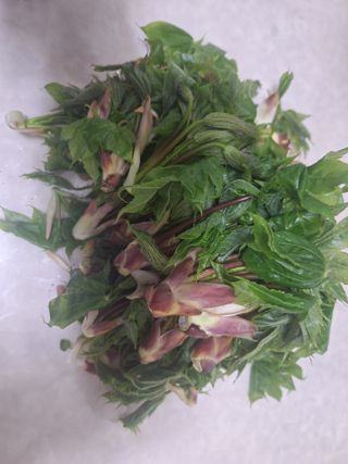 레인보우가든님의 자유주제 · 자유게시판 작성글 사진