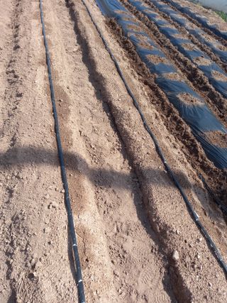 전진욱님의 일손 구하셨나요? · 참여글 작성글 사진