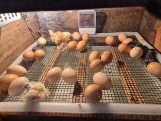 천운산님의 자유주제 · 자유게시판 작성글 사진