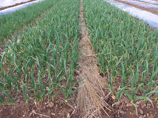 너바라기님의 자유주제 · 자유게시판 작성글 사진