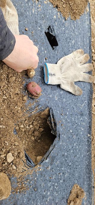 힐스님의 일손 구하셨나요? · 참여글 작성글 사진