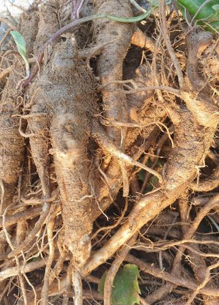 황강순님의 작성글 사진