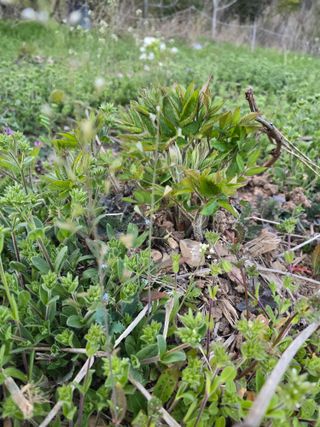 오아성님의 작성글 사진