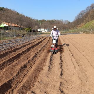 전진욱님의 일손 구하셨나요? · 참여글 작성글 사진