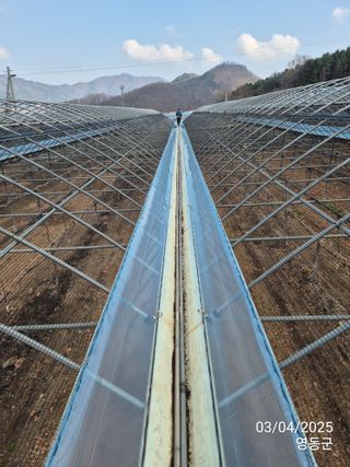 젠틀맨님의 자유주제 · 자유게시판 작성글 사진