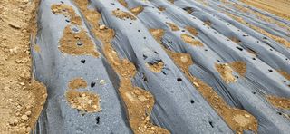 힐스님의 일손 구하셨나요? · 참여글 작성글 사진