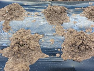 너바라기님의 자유주제 · 자유게시판 작성글 사진